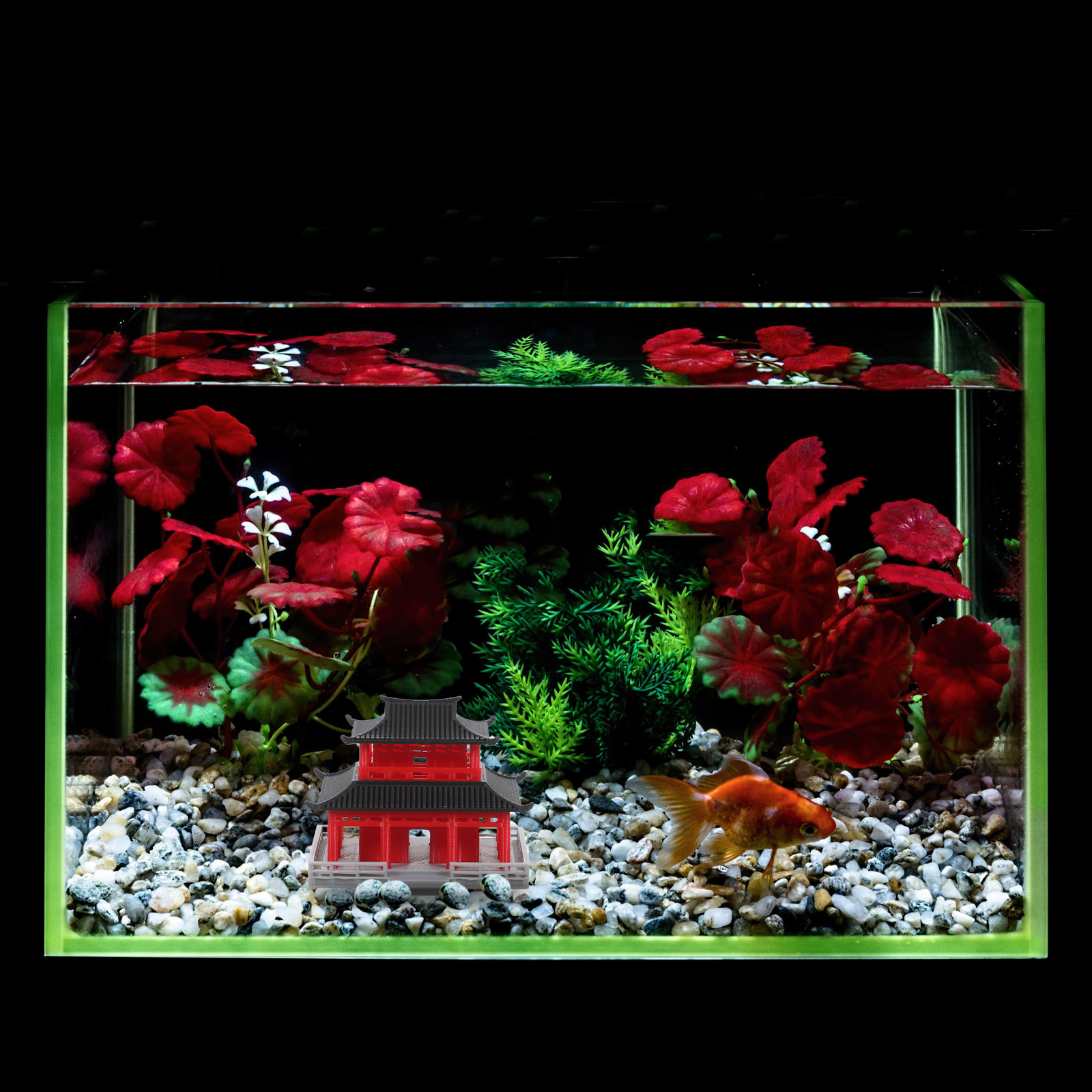 Chinese Ancient Pavilion Black - огляд і ціна Aquarium & Marine Museum Universiti Malaysia Sabah Kota Kinabalu Sabah
