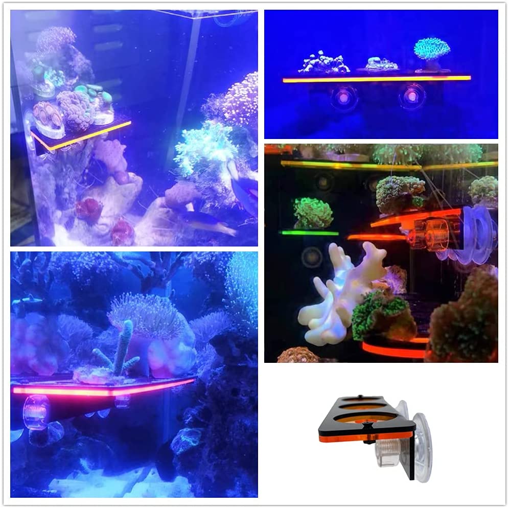 Fluorescent Coral Frag Plug Br - огляд і ціна Marine Aquarium Orp